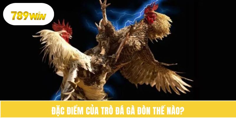 Đặc điểm của trò đá gà đòn thế nào? 